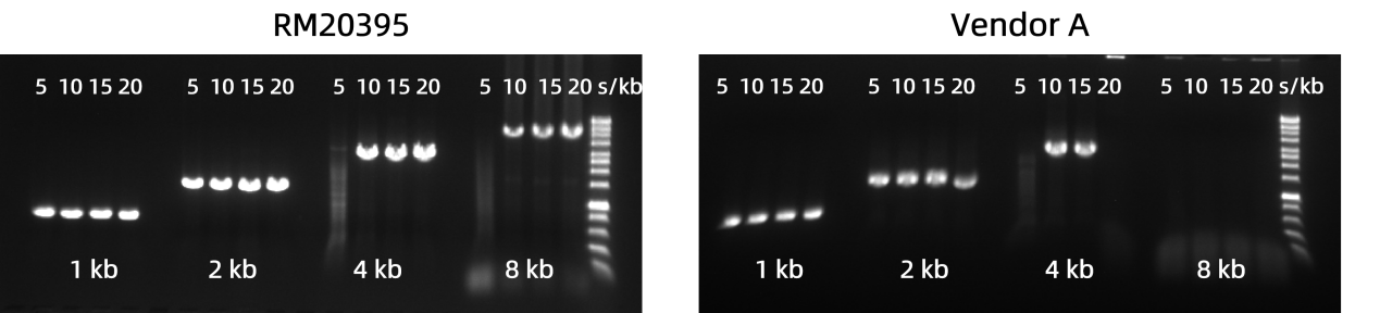 RM20395-data-1.png